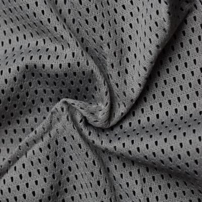 Polyester Rich Hole Mesh Fabric
